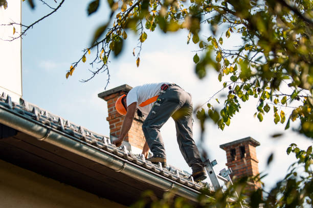 Best Flat Roofing  in Marienville, PA