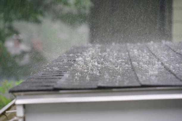 Best Roof Maintenance and Cleaning  in Marienville, PA